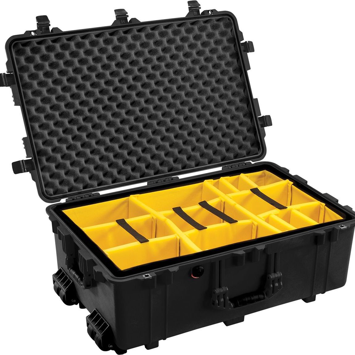 Peli™ Protector 1650